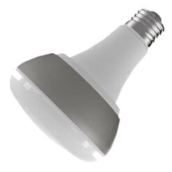 Energetic Lighting LED Reflector Flood Retrofit (00305)