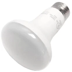 LongStar LED Reflector Flood Retrofit (02160)