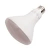 LongStar LED Reflector Flood Retrofit (02187) -Light Bulbs Sales 02187alg