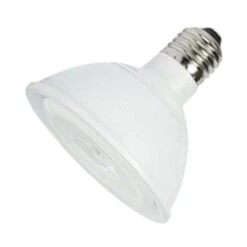 LongStar LED Reflector Flood Retrofit (02411)