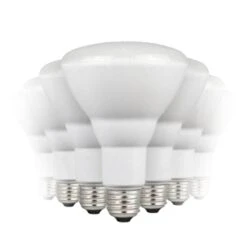 Westinghouse LED Reflector Flood Retrofit (12 Pack) (351747)