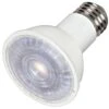 Satco LED Reflector Flood Retrofit (09388)