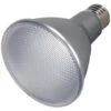 Satco LED Reflector Flood Retrofit (29431) 2 Satco LED Reflector Flood Retrofit (29431) -Light Bulbs Sales 09436lg