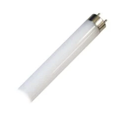 Eiko Fluorescent Light Bulb (08631)