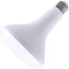 LongStar LED Reflector Flood Retrofit (02865) -Light Bulbs Sales 10758lg