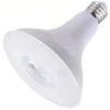 Eiko LED Light Bulb (10779)