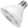 Keystone LED Reflector Flood Retrofit (12727) -Light Bulbs Sales 12406lg 2