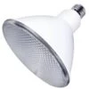 Eiko LED Light Bulb (12439) -Light Bulbs Sales 12436lg