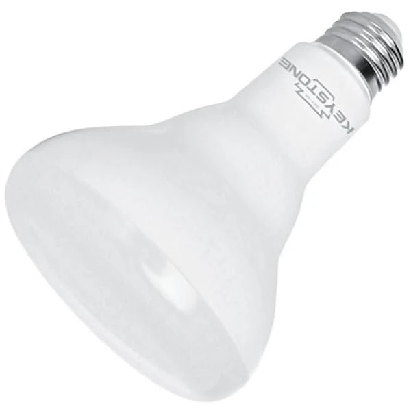 Keystone LED Reflector Flood Retrofit (12596) 4 Keystone LED Reflector Flood Retrofit (12596) - Image 2