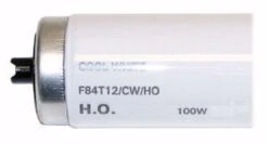 GE Fluorescent Light Bulb (13766) -Light Bulbs Sales 13766Bulbmd
