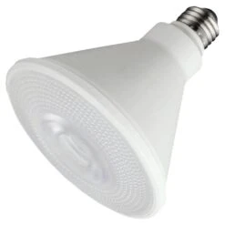 TCP LED Light Bulb (15579)