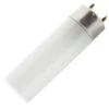 General Fluorescent Light Bulb (18830) 1 General Fluorescent Light Bulb (18830) -Light Bulbs Sales 18830lg