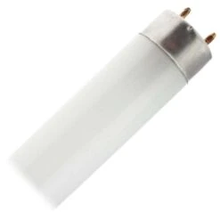 General Fluorescent Light Bulb (18830)