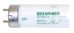 Sylvania Fluorescent Light Bulb (21720) -Light Bulbs Sales 21720Bulbmd