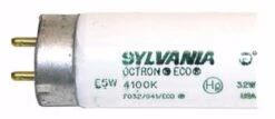 Sylvania Fluorescent Light Bulb (21781) -Light Bulbs Sales 21781Bulbmd