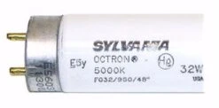 Sylvania Fluorescent Light Bulb (21880) -Light Bulbs Sales 21880Bulbmd