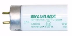 Sylvania Fluorescent Light Bulb (21907) -Light Bulbs Sales 21907Bulbmd