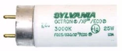 Sylvania Fluorescent Light Bulb (21910) -Light Bulbs Sales 21910Bulbmd