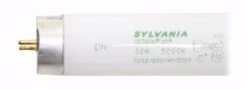 Sylvania Fluorescent Light Bulb (22026) -Light Bulbs Sales 22026Bulbmd