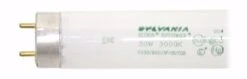 Sylvania Fluorescent Light Bulb (22063) -Light Bulbs Sales 22063Bulbmd