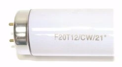 General Fluorescent Light Bulb (22080) -Light Bulbs Sales 22080Bulbmd