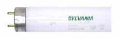 Sylvania Fluorescent Light Bulb (22137) -Light Bulbs Sales 22137Bulbmd