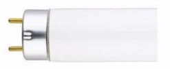 Sylvania Fluorescent Light Bulb (22144) -Light Bulbs Sales 22144Bulbmd