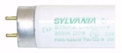 Sylvania Fluorescent Light Bulb (22178) -Light Bulbs Sales 22178Bulbmd