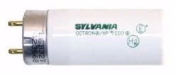 Sylvania Fluorescent Light Bulb (22235) -Light Bulbs Sales 22235Bulbmd