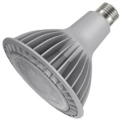 Satco LED Light Bulb (22251)