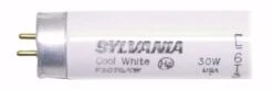 Sylvania Fluorescent Light Bulb (23116) -Light Bulbs Sales 23116Bulbmd