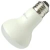 TCP LED Reflector Flood Retrofit (24768) -Light Bulbs Sales 24768lg