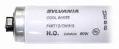 Sylvania Fluorescent Light Bulb (25146) -Light Bulbs Sales 25146Bulbmd