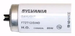 Sylvania Fluorescent Light Bulb (25189) -Light Bulbs Sales 25189Bulbmd