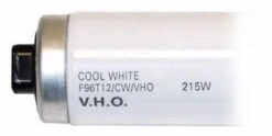 Sylvania Fluorescent Light Bulb (25292) -Light Bulbs Sales 25292Bulbmd