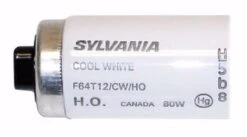 Sylvania Fluorescent Light Bulb (22514) 8 Sylvania Fluorescent Light Bulb (22514) -Light Bulbs Sales 25352Bulbmd