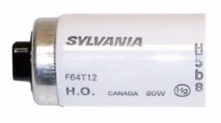 Sylvania Fluorescent Light Bulb (25355) -Light Bulbs Sales 25355Bulbmd