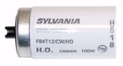 Sylvania Fluorescent Light Bulb (25384) -Light Bulbs Sales 25384Bulbmd