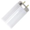 Satco Fluorescent Light Bulb (26610) -Light Bulbs Sales 26610lg