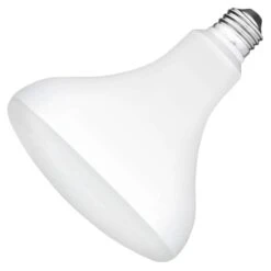 TCP LED Reflector Flood Retrofit (27445)