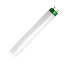 Philips Fluorescent Light Bulb (280982) 6 Philips Fluorescent Light Bulb (280982) -Light Bulbs Sales 280982amd