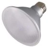 Satco LED Reflector Flood Retrofit (29421) -Light Bulbs Sales 29421lg