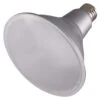 Satco LED Light Bulb (29454)