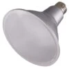 Satco LED Wide Flood Light Bulb (29453) -Light Bulbs Sales 29453lg