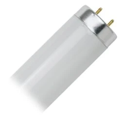 Sunlite Fluorescent Light Bulb (30031)
