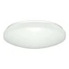 Nuvo LED Ceiling Light Fixture (32796)