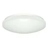 Nuvo LED Ceiling Light Fixture (32798) 2 Nuvo LED Ceiling Light Fixture (32798) -Light Bulbs Sales 32798lg