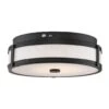 Nuvo LED Ceiling Light Fixture (32976)