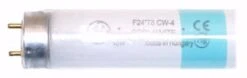General Fluorescent Light Bulb (33014) -Light Bulbs Sales 33014Bulbmd