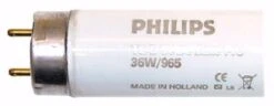 Philips Fluorescent Light Bulb (888624) -Light Bulbs Sales 36096Bulbmd